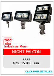 NIGHT FALCON